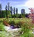 Lukas Maximilian  H�ller - Paradies / Paradise